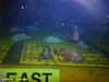 Rosefish