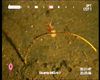 Amphipod