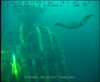 Manta Rays off Angola