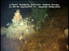 Hard substratum communities from Golfinho Mozambique