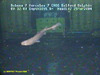 Shortnose velvet dogfish
