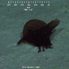 Enypniastes sp.