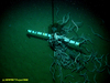 Hagfish