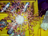 Gorgonshead basket star