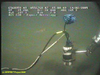 Sediment Coring