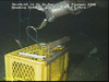 Deploying trap on seabed